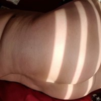 562-244-1351
