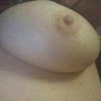 952-254-1658